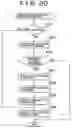 Fig. 20 - Control apparatus for multi-cylinder internal combustion engine and control method