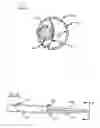 Fig. 06 - Intubation device and method of use