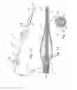 Fig. 09 - Intubation device and method of use