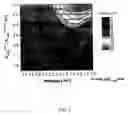 Fig. 04 - Polymer photovoltaic cell