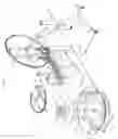 Fig. 03 - Machine for making steel hoop circumferential reinforcing elements
