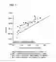 Fig. 02 - Aqueous pigmented coating formulation providing for improved opacity