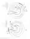 Fig. 06 - Centrifugal brakes for wheels