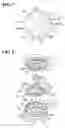 Fig. 04 - Rotary damper