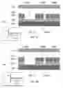 Fig. 09 - Electrochemical etching of circuitry for high density interconnect electronic modules