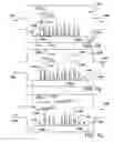 Fig. 07 - System and method for electrochemical detection of biological compounds