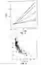 Fig. 03 - Particle sorting by fluidic vectoring