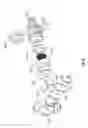 Fig. 08 - Dispensing gun assembly for mixing and dispensing plural component foam