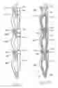 Fig. 09 - Nestable pinch-grip hangers