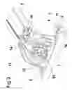 Fig. 03 - LOAD CARRIER FOOT