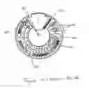 Fig. 04 - Advanced gestational wheel calculator