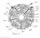 Fig. 11 - Advanced gestational wheel calculator
