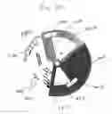 Fig. 30 - Advanced gestational wheel calculator