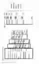 Fig. 05 - Centripetal reflex method of space launch
