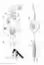 Fig. 08 - Centripetal reflex method of space launch