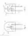Fig. 02 - Borate phosphor materials for use in lighting applications