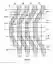 Fig. 17 - Memory cell arrays