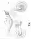 Fig. 02 - Motorcycle seat