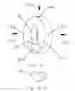 Fig. 22 - Wheel ornament assembly as constantly vertical for rotationally independant wheel spinner