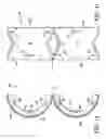 Fig. 07 - Bicycle hub assembly