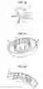 Fig. 10 - Three phase claw pole type motor
