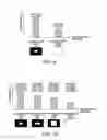 Fig. 09 - Organic electro-luminescence device, driving method thereof and electronic apparatus