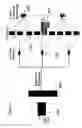 Fig. 07 - Latch and clock structures for enabling race-reduced MUX scan and LSSD co-compatibility