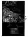 Fig. 06 - Geographic image strorage, transmission and display system