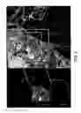 Fig. 04 - Geographic information storage, transmission and display system