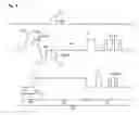 Fig. 07 - Plasma display apparatus and driving method thereof
