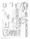 Fig. 11 - Generating 2D transitions using a 3D model