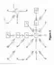 Fig. 05 - Toboggan-based method for automatic detection and segmentation of objects in image data