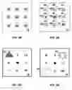 Fig. 07 - Method and electroactive device for a dynamic graphical imagery display