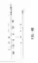 Fig. 08 - Over-driving apparatus and method thereof