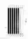 Fig. 03 - Systems and methods for measuring uniformity in images