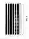 Fig. 10 - Systems and methods for measuring uniformity in images