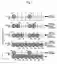 Fig. 08 - Liquid ejector and liquid ejecting method