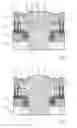 Fig. 02 - Inkjet printhead having isolated nozzles