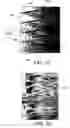 Fig. 04 - Drop ejection device