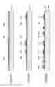 Fig. 44 - Electrical connection substrate, droplet discharge head, and droplet discharge apparatus