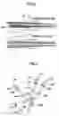 Fig. 04 - Color image forming apparatus