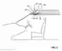 Fig. 07 - Night vision arrangement