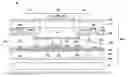Fig. 01 - Liquid crystal display device