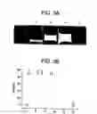 Fig. 05 - Method of plasma beam bombardment of aligning films for liquid crystals