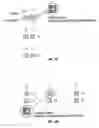 Fig. 07 - Method and apparatus for self-referenced wafer stage positional error mapping