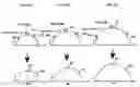 Fig. 05 - Interaxis angle correction method