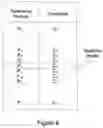Fig. 07 - Systems for and methods of facilitating focusing an optical scanner
