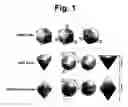 Fig. 02 - Robust interactive color editing