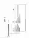 Fig. 08 - Image reading apparatus, personalizing method, program, and storage medium