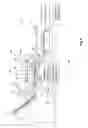 Fig. 03 - Scanning method for stitching images